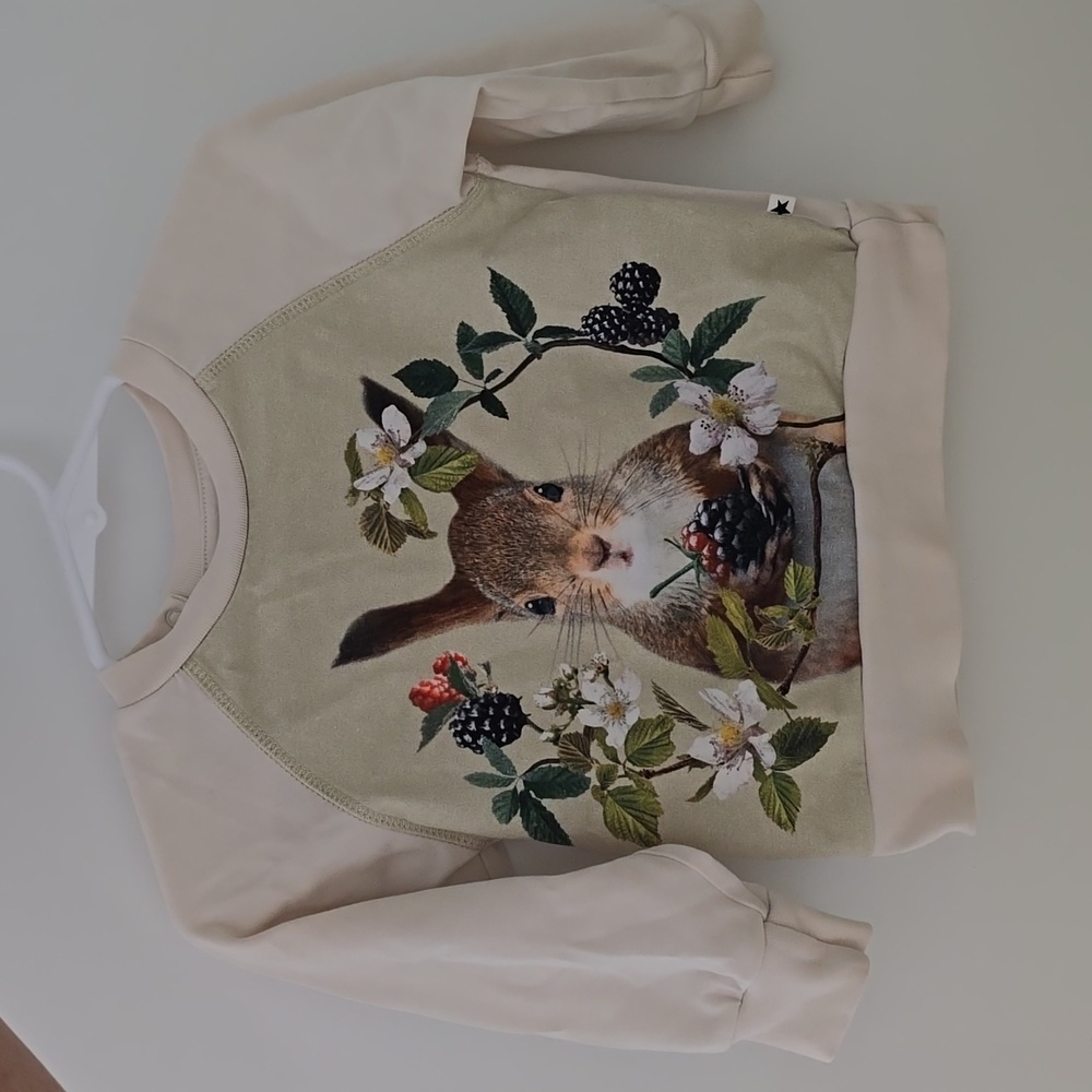 Molo Cream & Olive Bunny Graphic Long Sleeve Tee